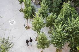 Les bétons bas carbone : construire durablement dès aujourd’hui